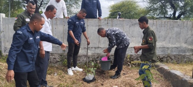 Sebanyak 7531 Anggota KPPS Dilantik Serentak, PPS Oebelo Dan Tanah Merah Gelar Aksi Tanam Pohon