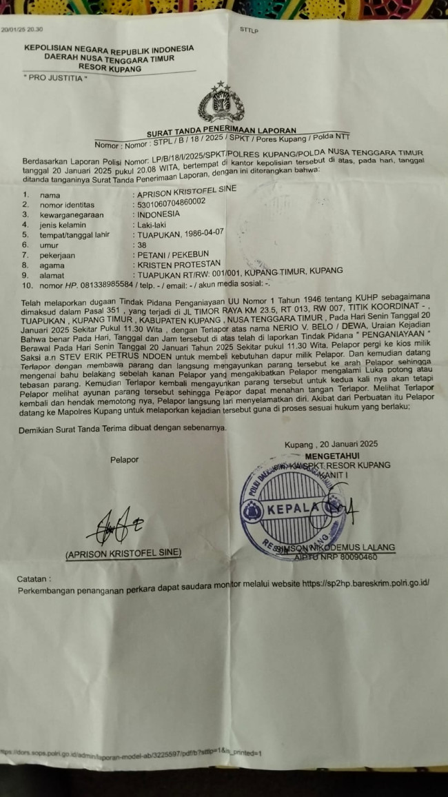 Korban Penganiayaan Di Desa Tuapukan Nilai Polres Kupang Lambat Ungkap Kasus 1 Korban Penganiayaan Desa Tuapukan Nilai Polres Kupang Lambat Ungkap Kasus