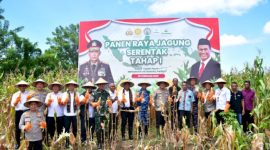 Foto: pose bersama usai panen jagung. 