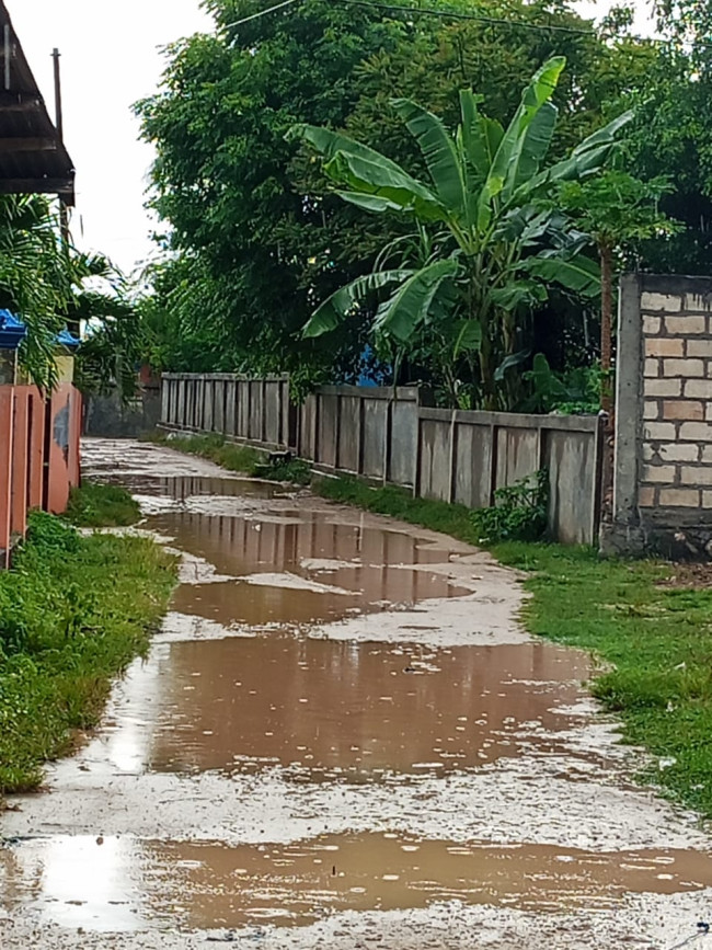 Genangan Air Hambat Aktivitas! Warga RT 26 Desa Noelbaki Minta Perhatian Pemerintah
