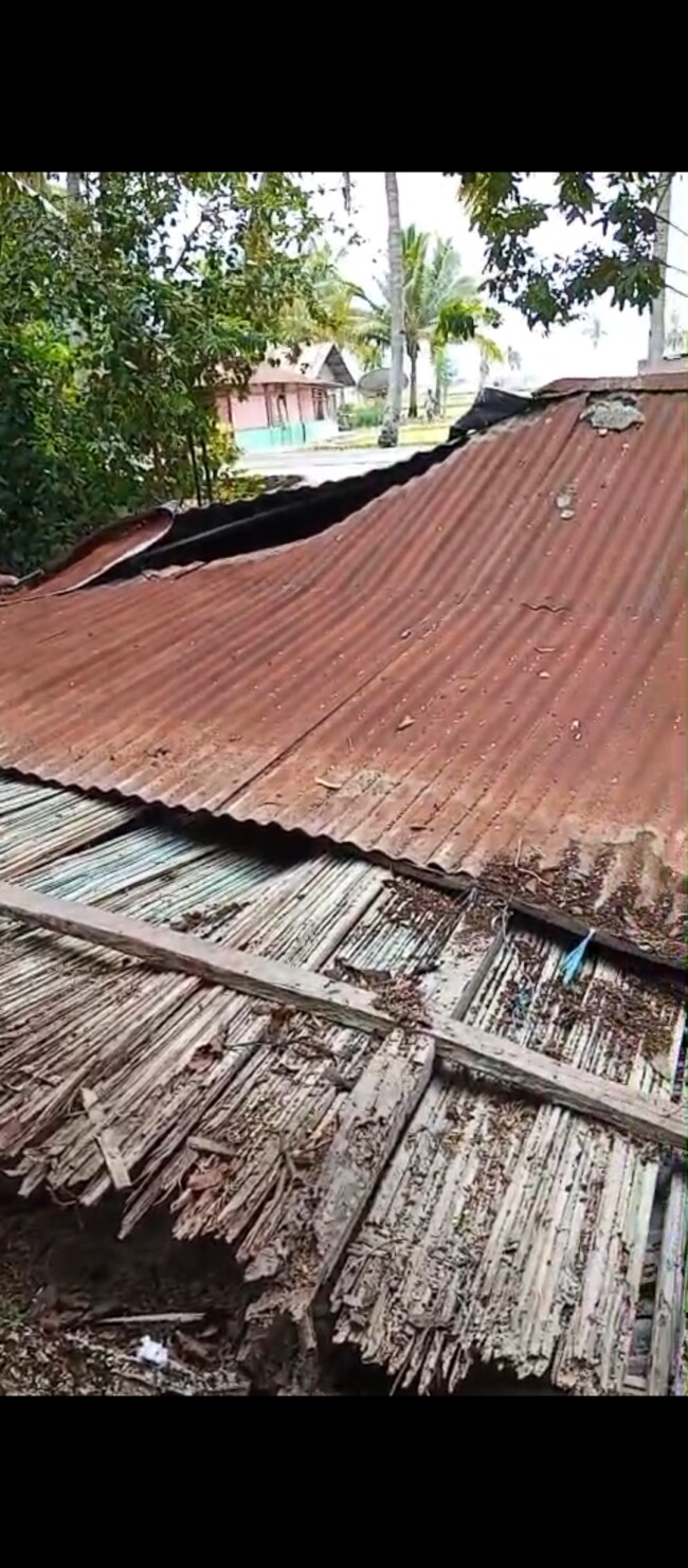 Respon Cepat Laporan Warga, Lurah Willy Djami Tinjau Korban Rumah Roboh Diterpa Angin