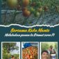 Foto: Petani Tomat Desa Oebelo.