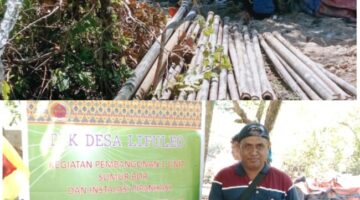 Atasi Krisis Air Bersih, Desa Lifuleo Bangun Sumur Bor dan Pipanisasi di Dusun 3 Salupu