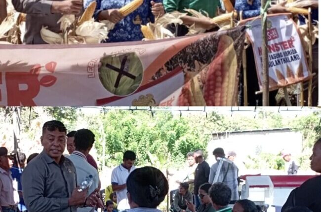 foto slider headline