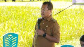 Foto: Bupati Kupang, Yosef Lede, SH., saat memberikan sambutan dalam kegiatan panen raya padi di Desa Tunfeu.
