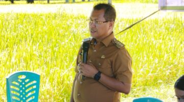 Foto: Bupati Kupang, Yosef Lede, SH., saat memberikan sambutan dalam kegiatan panen raya padi di Desa Tunfeu.