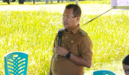 Panen Melimpah, Bupati Kupang Puji Etos Kerja Penyuluh dan Petani P3A Lestari di Noelsinas