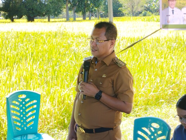 Foto: Bupati Kupang, Yosef Lede, SH., saat memberikan sambutan dalam kegiatan panen raya padi di Desa Tunfeu.