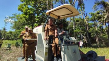 Panen Padi di Desa Tunfeu Berhasil, Bupati Kupang Puji Para Penyuluh