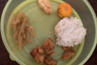 Foto: menu MBG yang diterima emak emak posyandu Mawar, Desa Tanah Merah.
