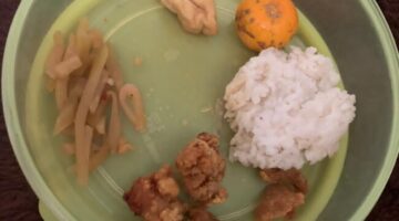 Foto: menu MBG yang diterima emak emak posyandu Mawar, Desa Tanah Merah.