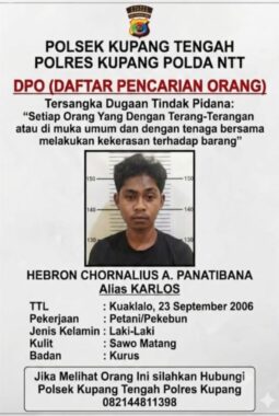berita-rekomendasi-foto