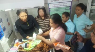 Misteri di Hutan Mnera: Memburu Pelaku Pembuang Bayi dalam Kardus Cokelat