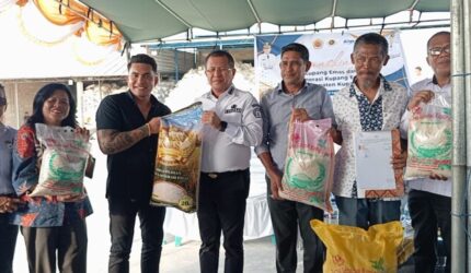 Beras 'Kupang Emas': Simbol Kedaulatan Pangan dan Kebanggaan Baru Warga Kabupaten Kupang