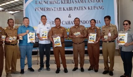 Garam Lokal Siap Kuasai Pasar: Pemkab Kupang Resmi Gandeng PT Garam Cahaya Indonesia!