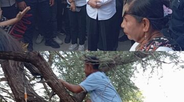 Kunjungan Jokowi di Pantai Oesina Disambut Histeris Warga: Naik Pohon Demi Selfie, Abaikan Protokol
