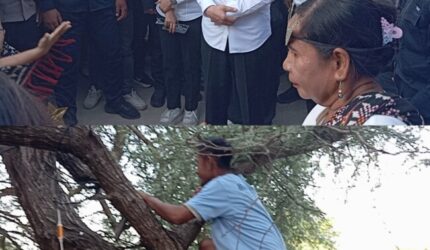 Kunjungan Jokowi di Pantai Oesina Disambut Histeris Warga: Naik Pohon Demi Selfie, Abaikan Protokol Penyambutan