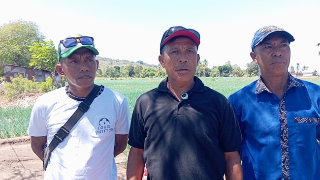 Petani dan Absalom Buy Sebut Bupati Yosef Lede Figur Pemimpin Idaman! 1 Petani Bawang Sumlili dan Absalom Buy Sebut Bupati Yosef Lede Figur Pemimpin Idaman!