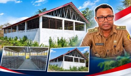 Proyek 'Mangkrak' di Fatukanutu: Kandang Babi Terbengkalai, Kades Mengaku Tak Tahu!