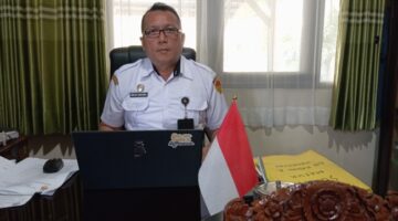 Cuan Bagi Peternak! Kuota Pengiriman Sapi Kabupaten Kupang Melonjak Jadi 13 Ribu 