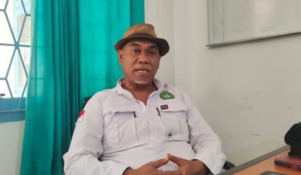 Gebrakan Sensus Ternak di Kabupaten Kupang: Ungkap Data Populasi Sapi, Kuota Pengiriman Bertambah!