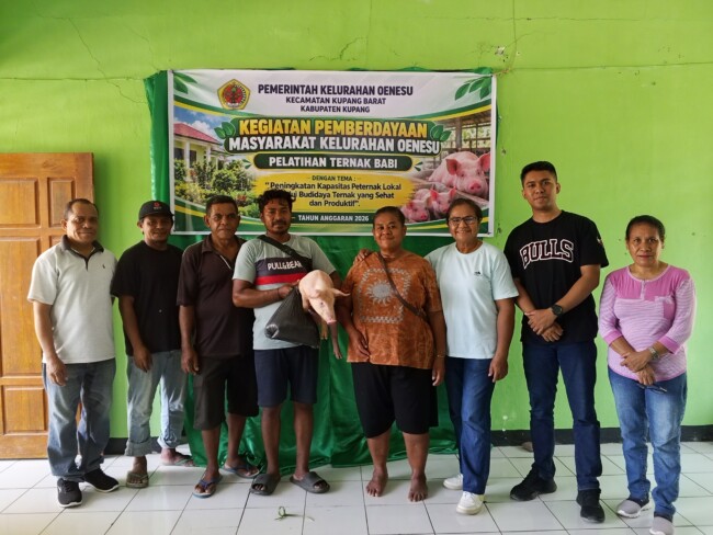 Rp22,5 Juta Untuk Bantuan Babi: Jurus Pemkel Oenesu Dorong Peningkatan Ekonomi Warga